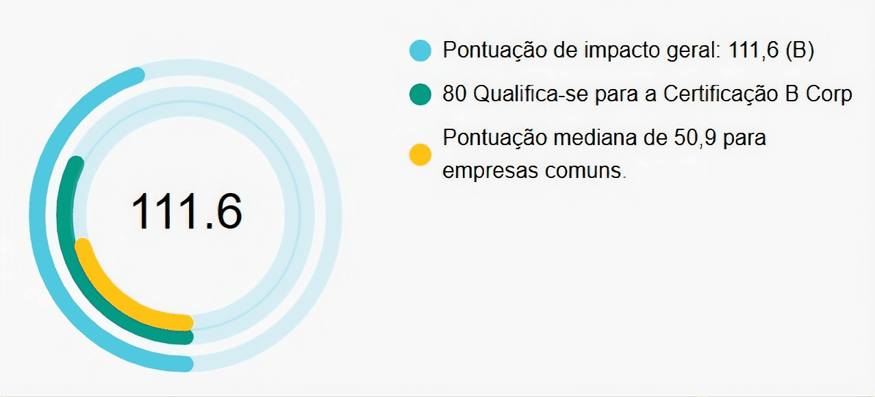 Reconhecimento complementar Empresa B